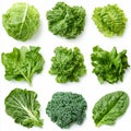 Fresh Green Leafy Vegetables Assortment Cabbage Lettuce Kale Spinach Collection AI generated. Royalty Free Stock Photo
