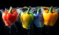 Vibrant colored bell peppers submerged in water, creating dynamic splashes and bubbles against a black background Royalty Free Stock Photo