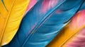 Vibrant Colored Feathers Abstract Textured Background Royalty Free Stock Photo