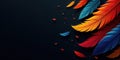 Vibrant colored feathers arranged artistically on a dark background, creating a visually stunning and captivating composition. Royalty Free Stock Photo