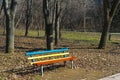 Vibrant colored red, yellow and blue bench, midday in spring time forest park Royalty Free Stock Photo