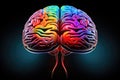 Vibrant colorful brain, Neurons synapses, memory neurotransmitters cortex, neuroplasticity, intelligence, gray matter, hippocampus