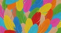 Vibrant Colorful Feather Background Pattern Royalty Free Stock Photo