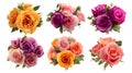 Vibrant Colorful Rose Bouquets Collection on Transparent Background Royalty Free Stock Photo