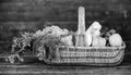 Vibrant and colorful vegetables. Homegrown vegetables. Fresh organic vegetables wicker basket. Fall harvest concept Royalty Free Stock Photo