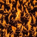 And vibrant colors of the flames, emphasizing their fluidity and Royalty Free Stock Photo