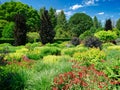 A vibrant, colourful, densely planted garden in the UK, taken on a sunny day in summer