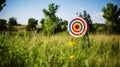 Vibrant Concentric Rings: Bullseye Archery Target in Colorful Splendor Royalty Free Stock Photo