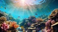 Vibrant Coral Reef: A Colorful Underwater Wonderland Royalty Free Stock Photo