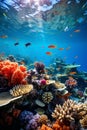 Vibrant Coral Reef: A Kaleidoscope of Color and Life Royalty Free Stock Photo