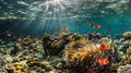 a vibrant coral reef teeming with life underwater scene