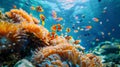Vibrant coral reef underwater photography of colorful marine life in high resolution ocean scene