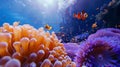 Vibrant coral reef underwater photography with marine biodiversity in high resolution ocean scene