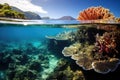 vibrant corals benefiting from sunlight under clear, blue ocean