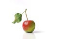 Vibrant crab apple with attached leaf isolated on a white