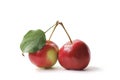 Vibrant crab apples with attached leaf isolated on a white background