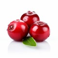 Vibrant Cranberry Fruits With Leaves On White Background