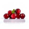 Vibrant Cranberry Product Photography On White Background