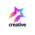 Vibrant Creative Star Fire Logo Design