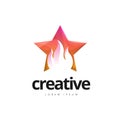 Vibrant Creative Star Fire Logo Design