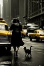 Vibrant curvy classy lady, wear blue winter coat high heels,rain, walk New york city taxis, big cat