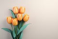 Vibrant 3D rendering Orange tulip on gray backdrop for Mothers and Valentines