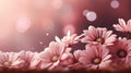 Vibrant daisy colors on soft bokeh background with ample copy space for text placement Royalty Free Stock Photo