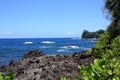 Vibrant, deep blue Pacific Ocean of Onomea Bay contrasting with black volcanic shoreline and green rainforest plants