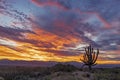 Vibrant Desert Sunrise Skies In North Scottsdale Arizona Royalty Free Stock Photo