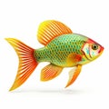 Colorful Gold Fish 3d Rendered Isolated On White Background