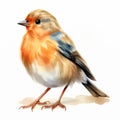Watercolor Clipart Illustration Of A Cute Little Finch Royalty Free Stock Photo