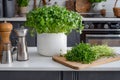 A vibrant display of fresh watercress in a contemporary kitchen setting, highlighting health and gourmet cooking