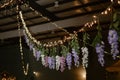 Vibrant display of lush purple flowers hanging from the ceiling of a cabin