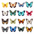 Colorful Butterfly Illustrations: Hyper-realistic And Iconographic Designs