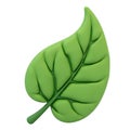 Lush green leaf 3D render on white background Royalty Free Stock Photo