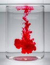 Red Ink Swirling and Dissolving in a Glass of Water Royalty Free Stock Photo