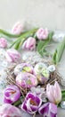 The Vibrant Easter Background with Colorful Eggs and Springtime Floral Elements. Royalty Free Stock Photo
