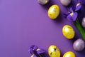 Vibrant Easter composition with yellow and purple eggs and purple irises on a purple background. Royalty Free Stock Photo
