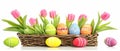 Vibrant Easter Eggs and Fresh Tulips in a Basket
