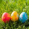 Vibrant Easter eggstravaganza celebrating the spirit of springtime joy Royalty Free Stock Photo