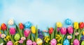 A vibrant Easter-themed arrangement of colorful flowers and decorated eggs on a light blue background Royalty Free Stock Photo