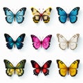 Vibrant Exotic Butterflies: Hyperrealistic Wildlife Portraits In Symmetrical Grid