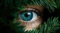 Vibrant eye surrounded by lush greenery Royalty Free Stock Photo