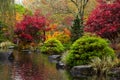 Vibrant fall colors by a pond in the Japanese Garden at Gibbs Garden. Royalty Free Stock Photo