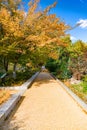 Vibrant fall foliage and walkway in public park in Washington Royalty Free Stock Photo