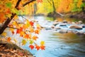 vibrant fall leaves along a winding river bank Royalty Free Stock Photo