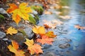 vibrant fall leaves along a winding river bank Royalty Free Stock Photo