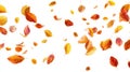 The Vibrant Fall Leaves Dancing in the Air Against a White Background AI generated image Royalty Free Stock Photo