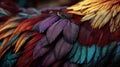 Vibrant Feather Textures Displaying Bright Colors and Patterns Royalty Free Stock Photo