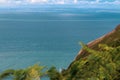 Vibrant ferns growing on cliff edge, rocky sea below